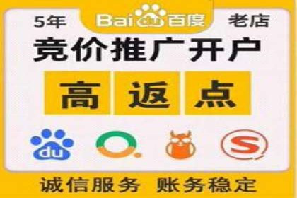 金融行业SEM推广的挑战与机遇